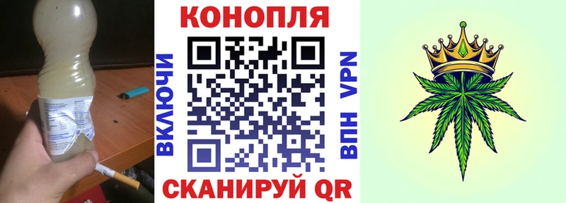 площадка какой сайт  Полесск  Бошки Шишки планчик 